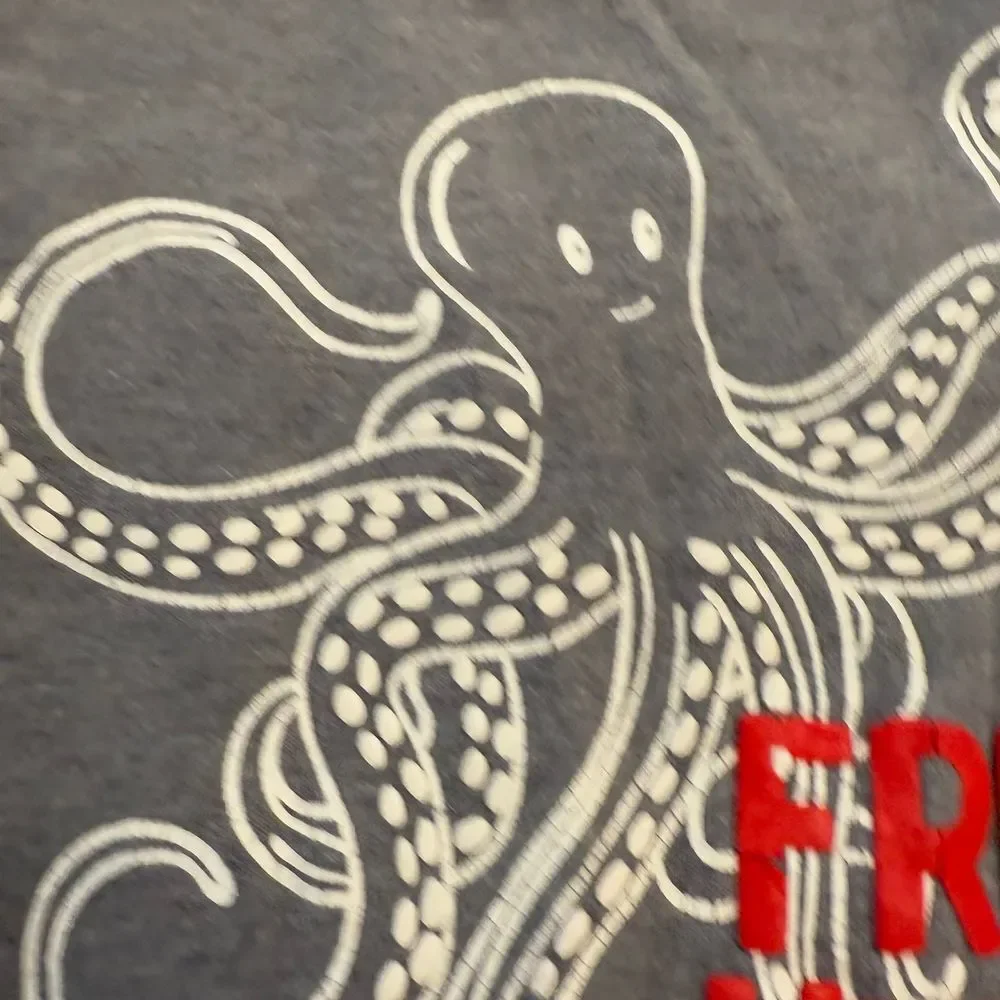 Gymboree boys‎ free hugs octopus Valentine's Day shirt 4T